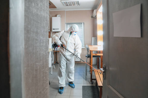 Best Indoor Air Quality Assessment  in Converse, IN