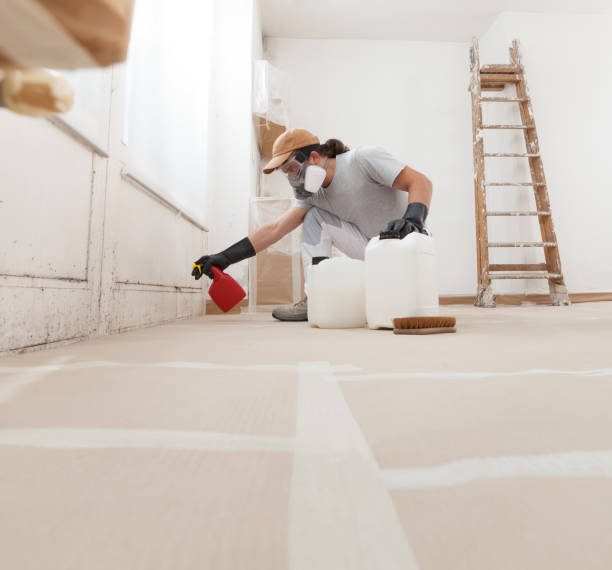 Best Post-Construction Mold Inspection  in Converse, IN